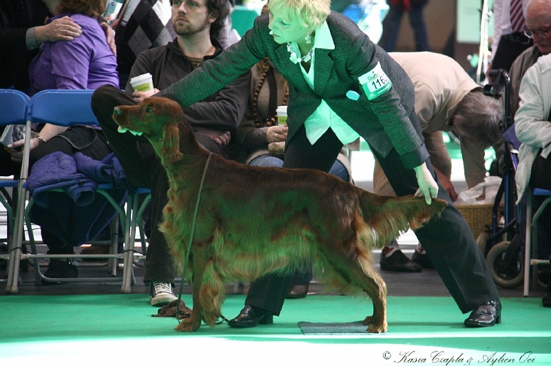 Crufts2011 662.jpg